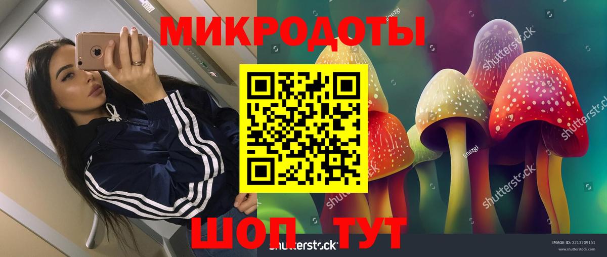 Кыштым  Псилоцибиновые грибы Psilocybine cubensis  Вход с VPN 